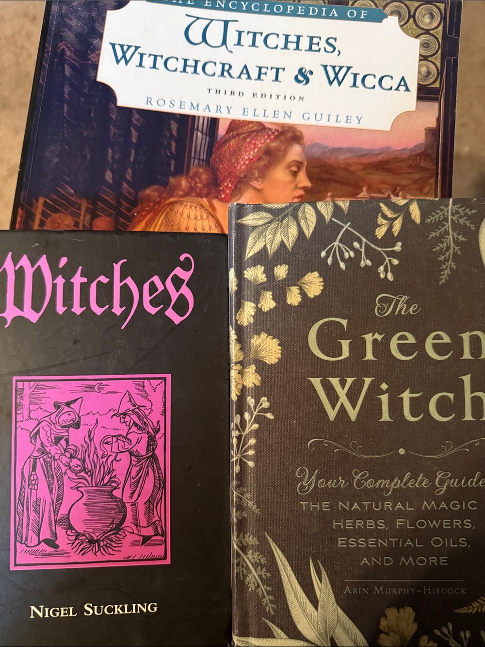 The Encyclopedia of Witches, Witchcraft and Wicca book
